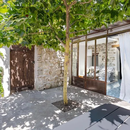 Dodo Etc - Teritoria Hotel Condorcet