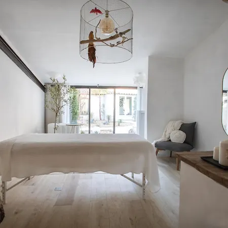 Dodo Etc - Teritoria Hotel Condorcet
