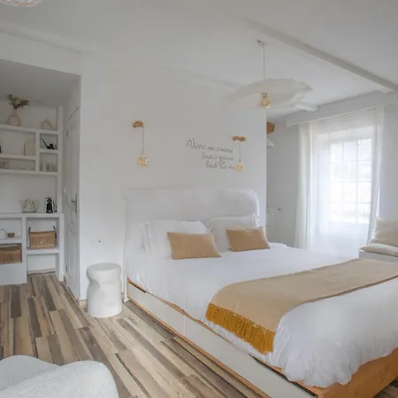 Dodo Etc - Teritoria Hotel Condorcet