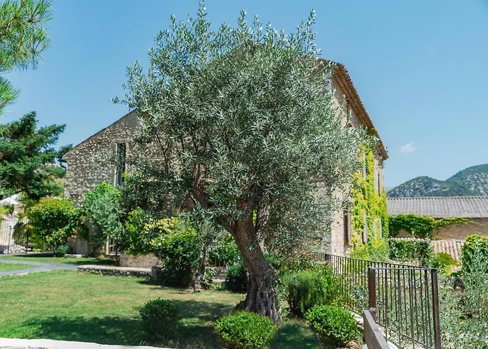 Dodo Etc Bed & Breakfast Condorcet