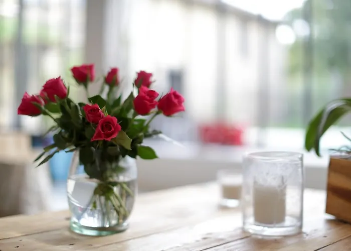 Dodo Etc Bed & Breakfast Condorcet